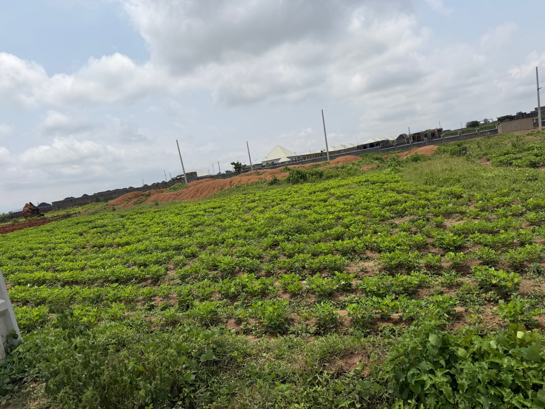 Walled and cultivated estate land with completed buildings on the ridge above, outside Abuja