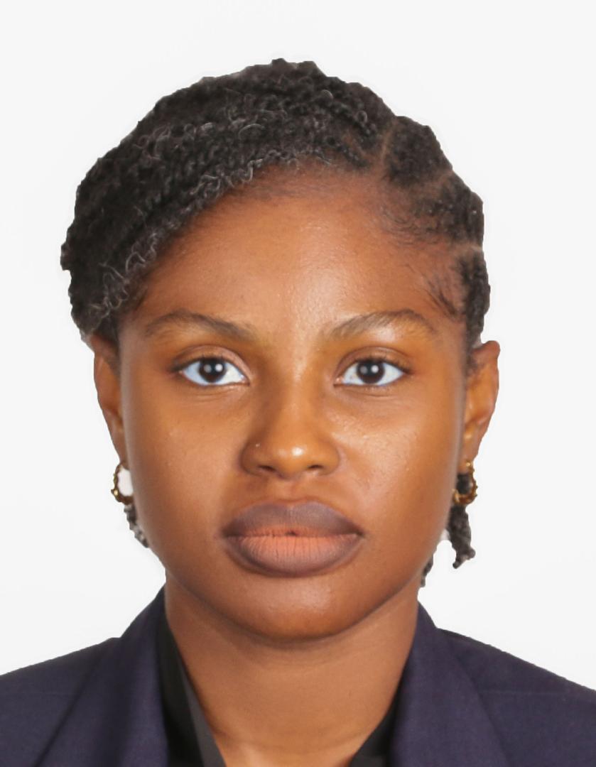 Omotayo Idoko, Head of Legal at Kaabo Investments Limited